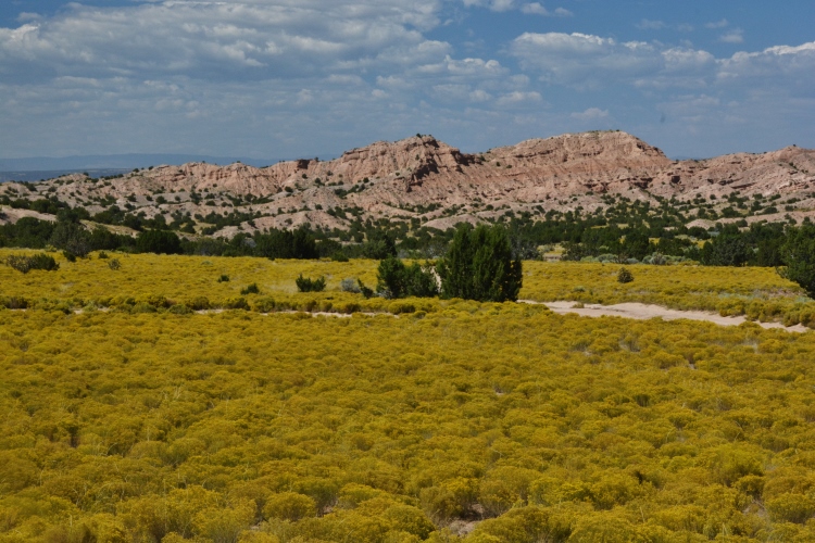 landscape on the High Road